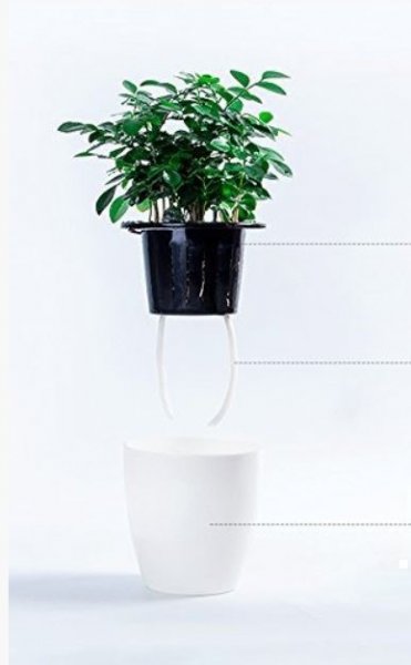 0d488c998e8098cf0316fe