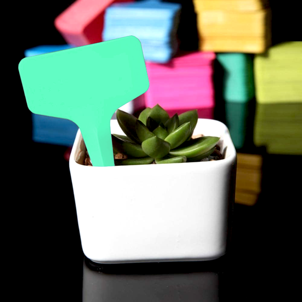 0e395962475da00291477c