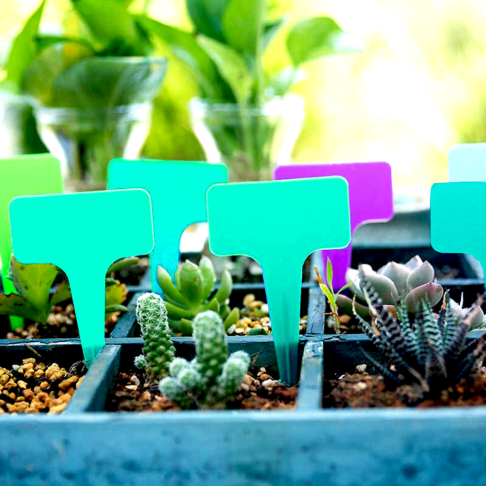 15dde2dcc968d5b9221419