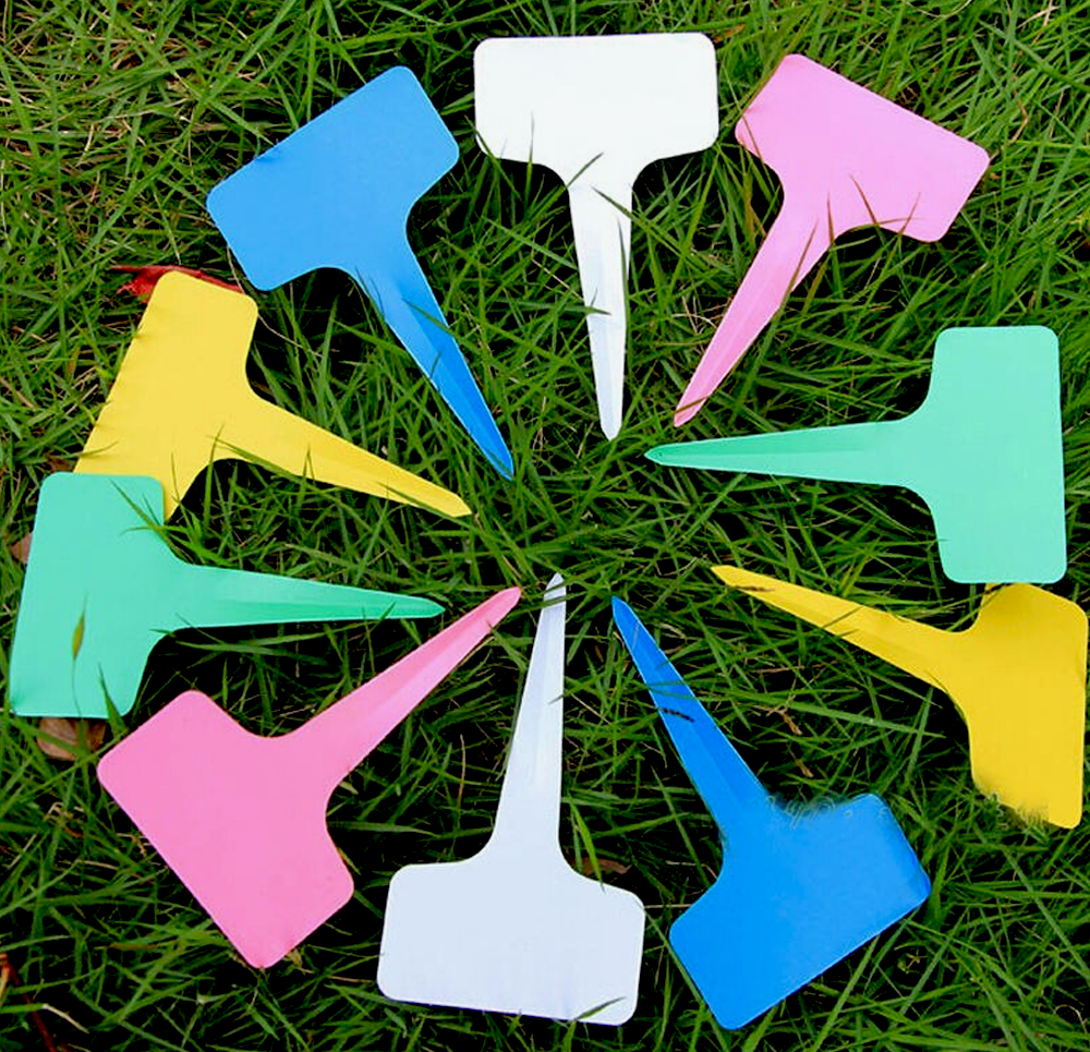 2397cac8e9a719528ac4dd