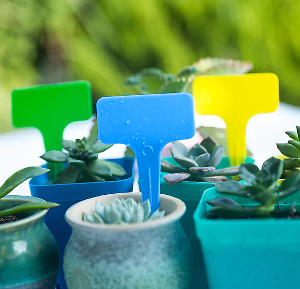 25db77fc907a6ad0e195b4