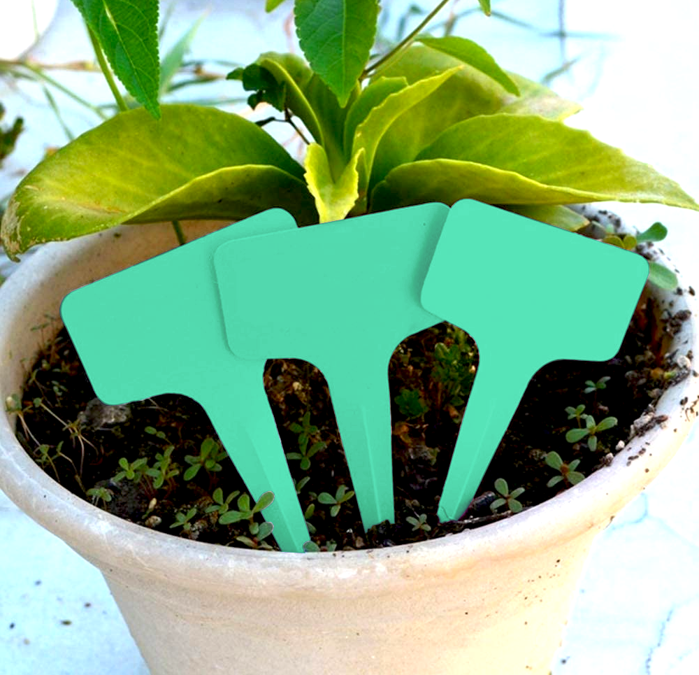 47711bea96669849e64350