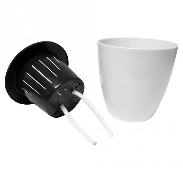 8f95e2079e95ec983cc675