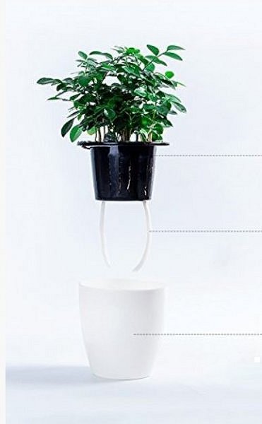 c27e75c0b3f9ea479035a2