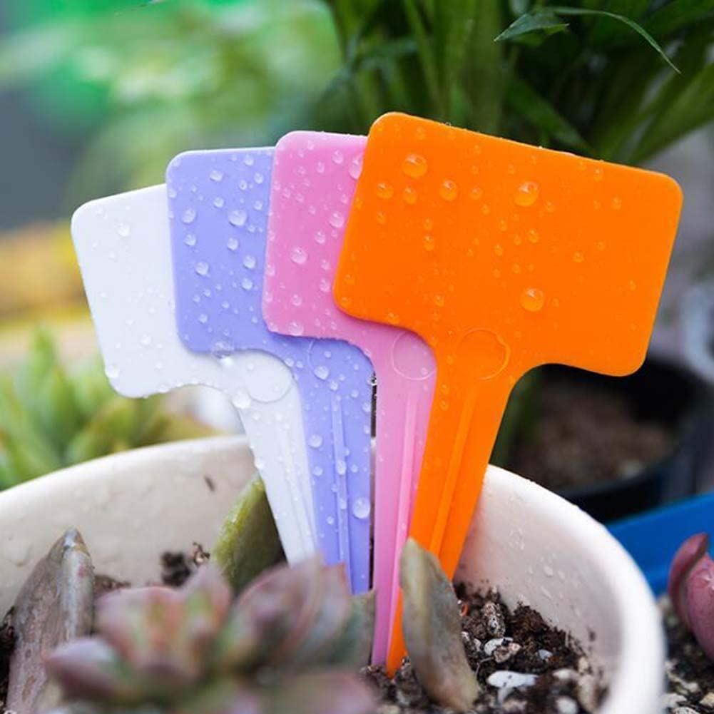 d28a0a0b714e284dc2b3db