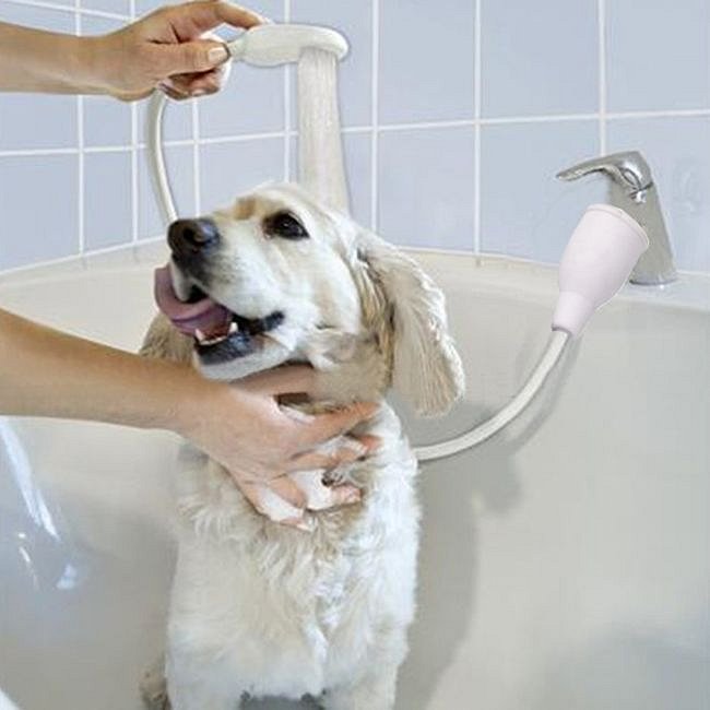 ed79d66bc8a15a3610eba6